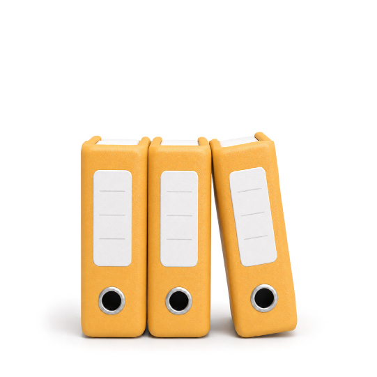 Audit-ready books