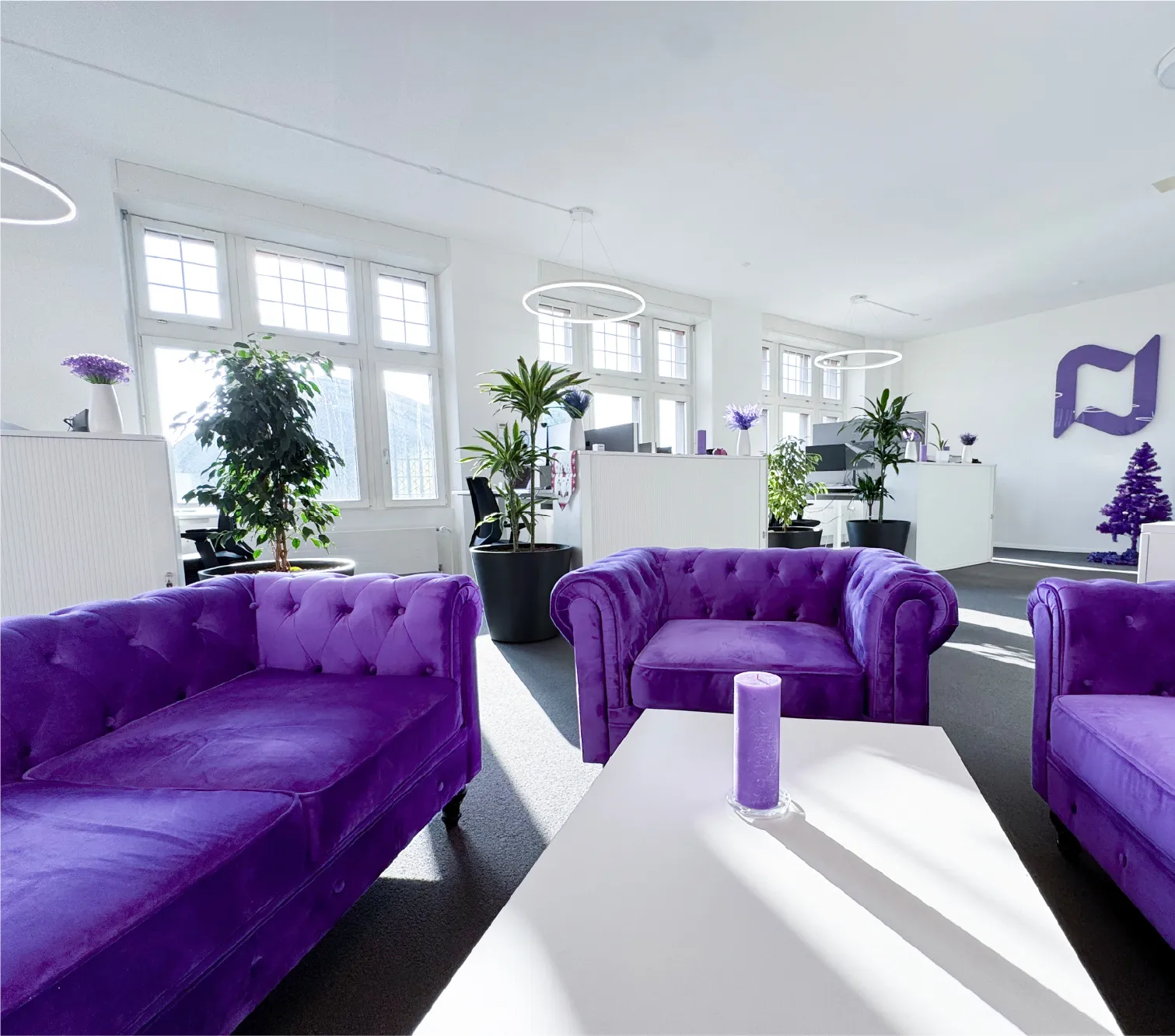 Interior of the Nexova Basel office showing bright open space with purple Chesterfield couches, large windows, and plants